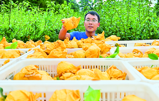 爱游戏体育