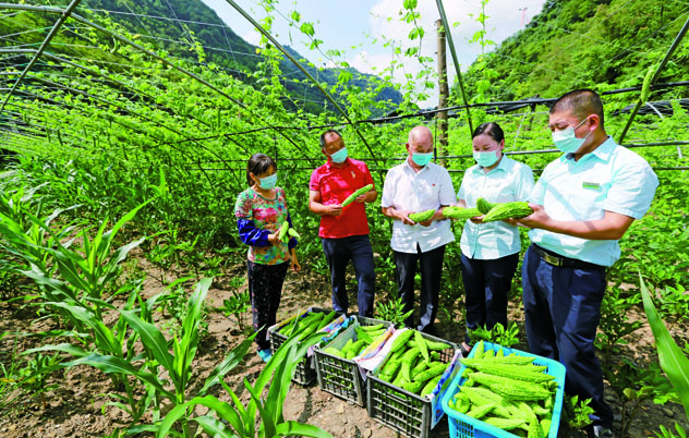 爱游戏体育