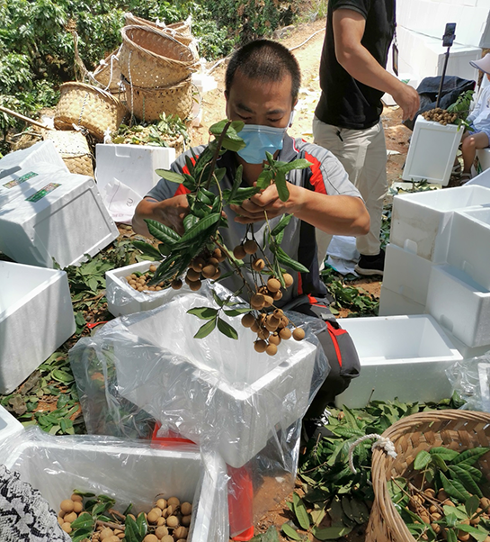 爱游戏体育