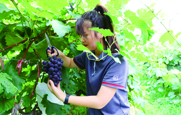 爱游戏体育