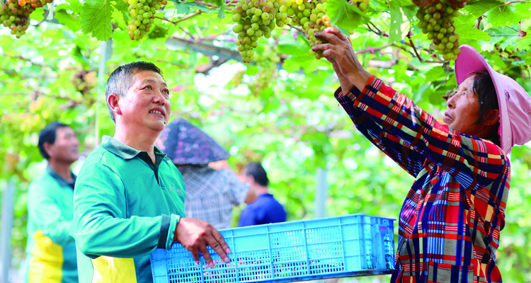 爱游戏体育