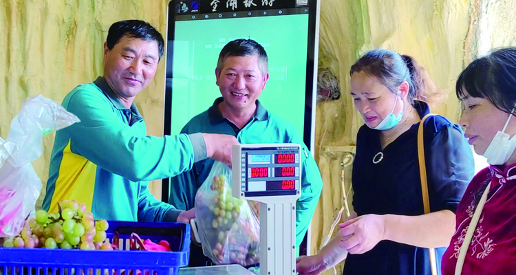 爱游戏体育