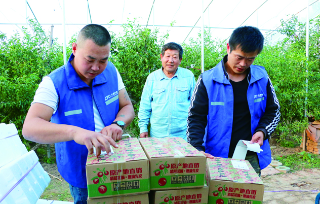 爱游戏体育