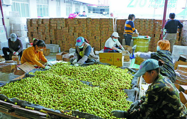 爱游戏体育