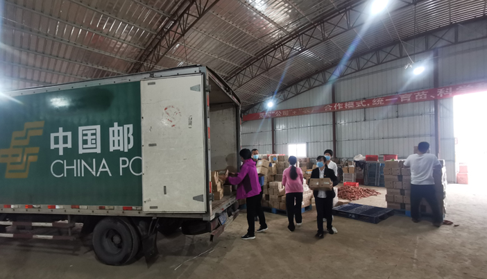 爱游戏体育